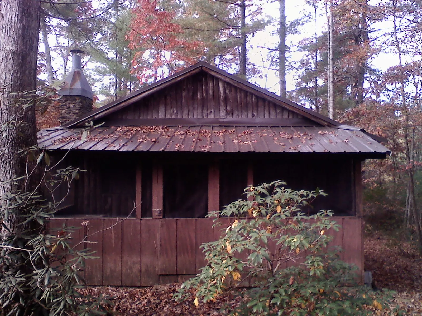 Metal roof over the screened porch of a rustic cabin in Friesland